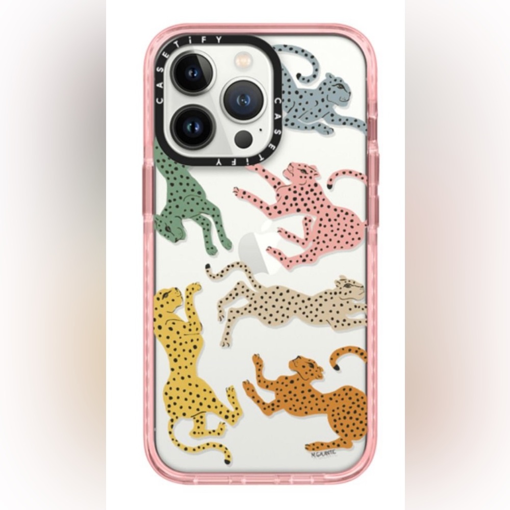 IPHONE 13 PRO casetify case
